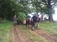 Horse power the focus of new UK attraction at East of England Show