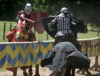 Royal Joust