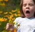 Hayfever
