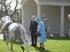 The Queen gives the ‘beasts’ the Royal seal of approval at Redbridge. 