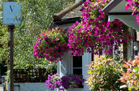 A stunning venue for an al fresco experience