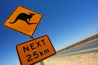 Australia ups migration intake to fill skills gaps