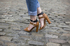 The Buckled Sandals