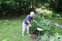 Veronica enjoys her garden again thanks to PETA