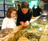 Lakes Aquarium