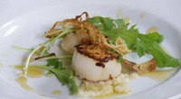 How to cook scallops