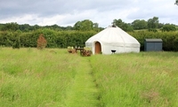 The Yurt