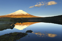 Mountain biking in Ecuador: A feast for the senses