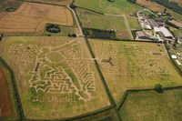 Farmer’s amazing tribute to Usain Bolt