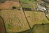 Usain Bolt Maize Maze Burton on Trent