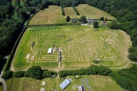 World's first Angry Birds Maize Maze at Tulleys Farm