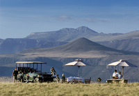 Authentic, exclusive safaris off the beaten track