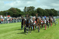 Fun for all the family at Tregaron Harness Racing Festival