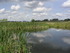The Doxey Marshes nature reserve