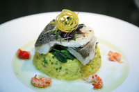 Popular Seafood Festival returns to The Granville @ Barford!