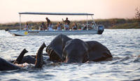 New photographic safari takes your lessons outside, in Botswana