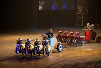The ulimate Top Gear Live experience