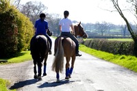 The new property in Shropshire with stunning style