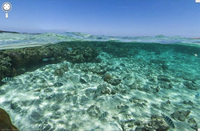 Google Street View goes diving on the Great Barrier Reef