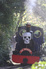 Ghost Train