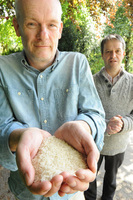 DNA sequencing to create new rice variety with greater health benefits
