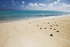 Heron Island