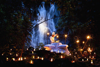 Ignite the lights of passion at The Sarojin