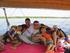 Spend Christmas Day on a felucca! 