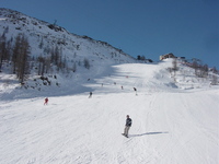 skiing 