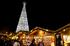 Swarovski Crystal Tree on Marktplatz