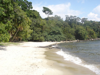 Rubondo Island