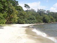 Opening of new Rubondo Island Camp in Tanzania