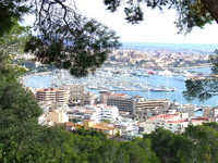 Palma Marina - Talk Yachts Palma