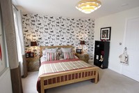 Show properties in Essex transformed by TV star