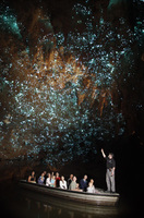 Experience the Trilogy with New Zealand's must see attraction pass