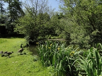 Eden Meadows Site Eden Meadows Site