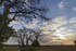 Gorongosa scenery