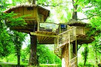 Sleep among the treetops in Brittany