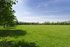 Open parkland surrounding the new homes