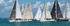 Swan European Regatta