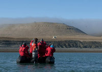 Wildlife watching bonanza on cruise through the Northwest Passage