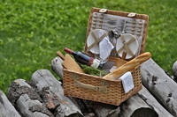 Picnic Picnic