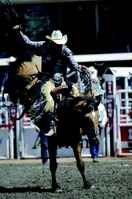 Calgary Stampede Rodeo