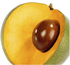 Lucuma