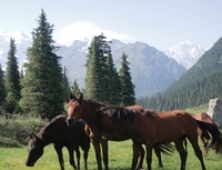 Discover the mountains of Kyrgyzstan