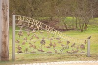 New sculpture celebrates Telford’s history