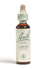 Bach Original Flower Remedy Larch
