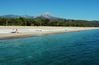 Share this Turkish beach with loggerhead turtles