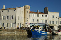 Idyllic Ile de Ré - New boutique break