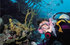 Scuba diving